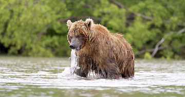 © Дмитрий Шпиленок