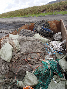 Современные технологии и  неравнодушные люди помогли очистить места обитания морских животных от опасных отходов . Фото 11