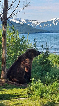 © Екатерина Костенко.