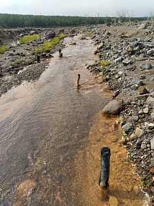 Начался лабораторный этап экологической оценки  рек, впадающих в Авачинский залив. Фото 2