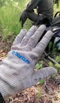 © Илья Аргеев