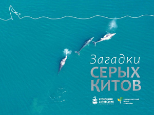На сайте Кроноцкого заповедника опубликованы просветительские материалы о серых китах
