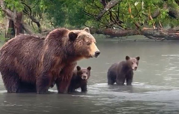 ©Полина Пименова