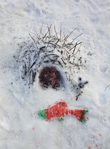 Итоги конкурса снежных фигур "Животные заповедной Камчатки". Фото 18