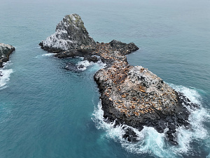 ©Дмитрий Балакирев