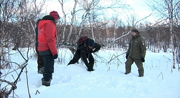 Госинспекторы заповедных территорий научились искать пострадавших под лавиной. Фото 7