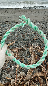 Современные технологии и  неравнодушные люди помогли очистить места обитания морских животных от опасных отходов . Фото 12