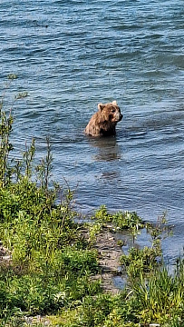 © Екатерина Костенко.