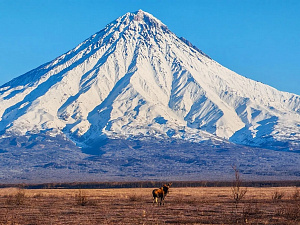 © Константин Лепский