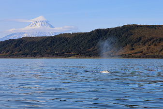 © Евгения Волкова.