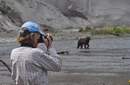 Безопасное наблюдение за медведем для фото туров, киногрупп и фотографов