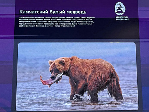 © КВТЦ