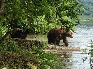  © Евгений Денгес
