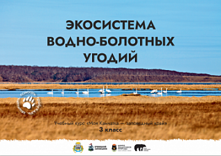 Урок № 8 "Экосистема водно-болотных угодий"