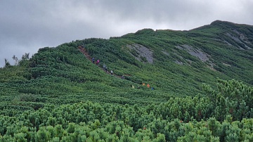 Юннаты Кроноцкого заповедника «оседлали» одну из горных вершин . Фото 9