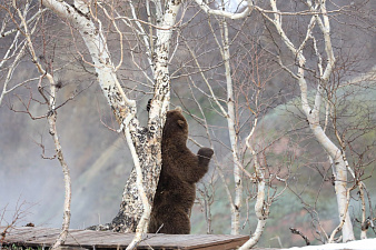 © Владимир Власенко