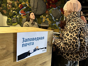 Около 500 человек посетили «Ночь в музее» Кроноцкого заповедника. Фото 13