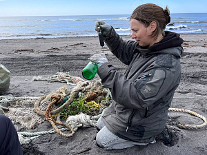Современные технологии и  неравнодушные люди помогли очистить места обитания морских животных от опасных отходов . Фото 1