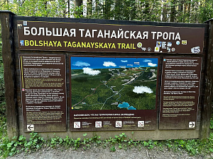 © Всеволод Яковлев