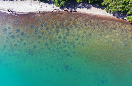 Современную картину жизни нерки Курильского озера исследуют учёные