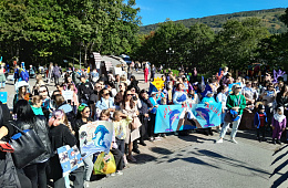 Около 700 человек стали ближе к природе на краевом экологическом фестивале «Море жизни»
